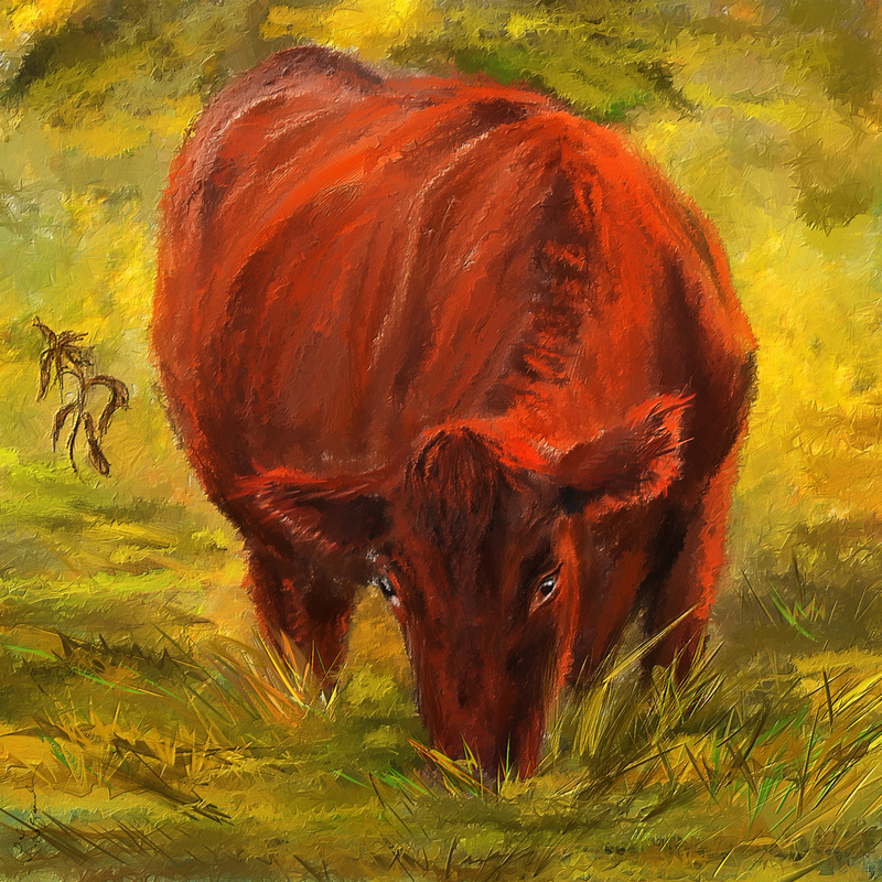 The Red Devon Cattle portrait. A painting of a perfectly composed red devon in a country setting.