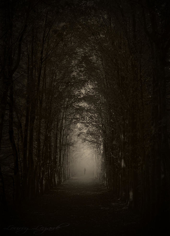 dark path art,mysterious art,walk in the woods art,psychology art