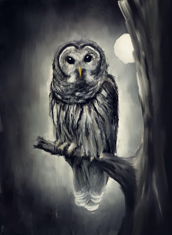 The owl is a bird of the night, and the night has long been a symbol of the darkness within - the place in which humans hide their secrets. He pierces the darkness of the blackest night, sensing and seeing and hearing what others cannot. 